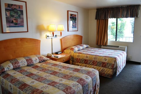 Day, Photo of the whole room