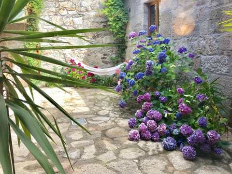 Garden, Garden view