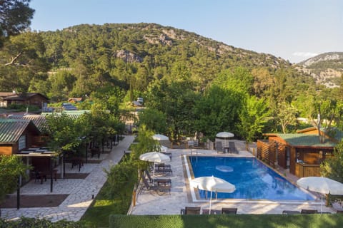 Day, Mountain view, Pool view, Swimming pool, sunbed