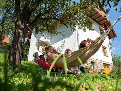 Alpeambient house Dovje House in Carinthia, Austria