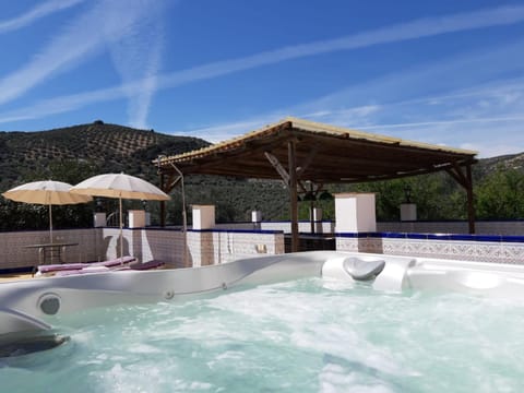Patio, Hot Tub, Balcony/Terrace, Decorative detail, Area and facilities, Swimming pool