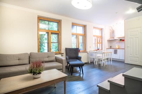 Kitchen or kitchenette, Living room, Seating area, Dining area