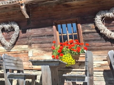 Ammergauer Vier Jahreszeiten Apartment in Tyrol