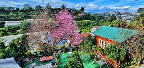 Day, Garden