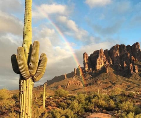 LUXURY Desert Oasis! 5 bedroom, 3 bath w HEATED POOL House in Mesa