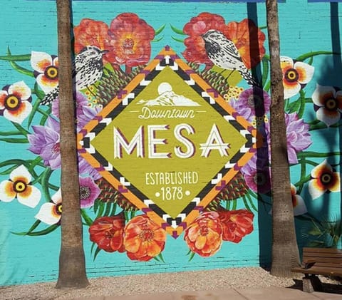 LUXURY Desert Oasis! 5 bedroom, 3 bath w HEATED POOL House in Mesa