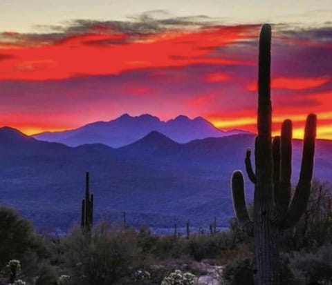 LUXURY Desert Oasis! 5 bedroom, 3 bath w HEATED POOL House in Mesa