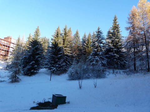 Duplex skis aux pieds 3 pièces, 8 pers, Animaux admis - FR-1-411-59 Apartment in Landry