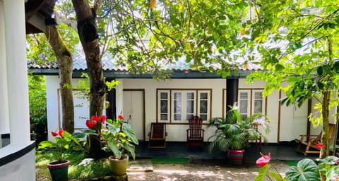 Property building, Garden view