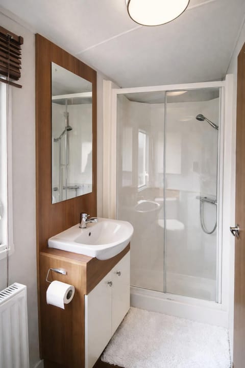 Clwyd 6 Chalet in Wales