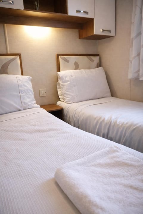 Clwyd 6 Chalet in Wales