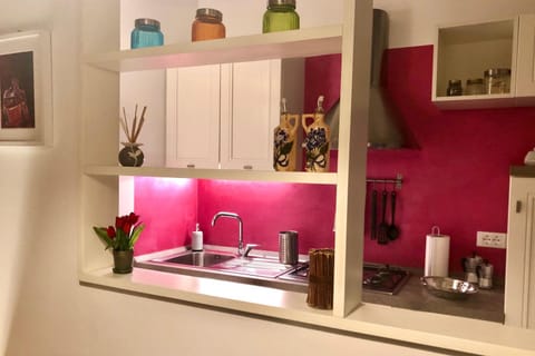 Casa Nausicaa, piano terra nel cuore della città con aria condizionata Apartment in Capannori