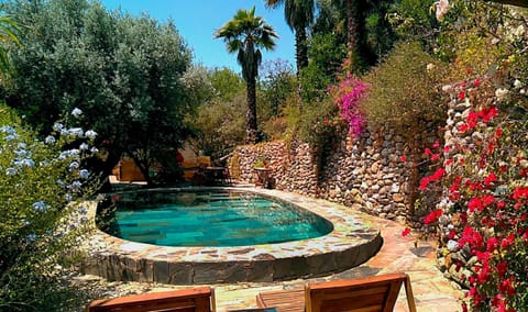 Garden, Garden view, Pool view, Swimming pool, Swimming pool, sunbed