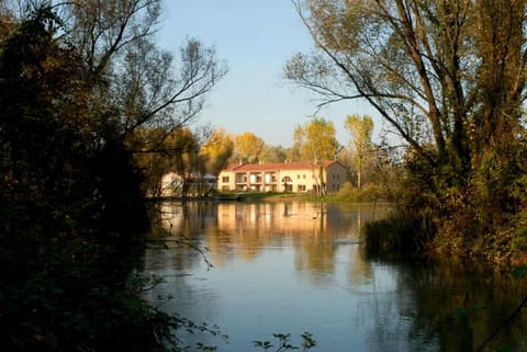 Lake view