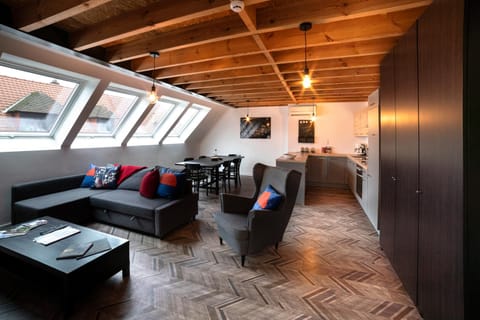 Gîte de Tournai-Cathédrale-Centre historique Apartment in Hauts-de-France