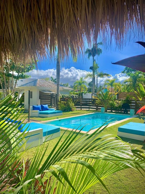 Garden, Swimming pool, sunbed