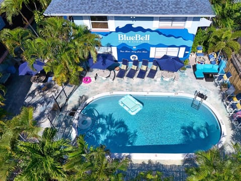 Property building, Day, Pool view, Swimming pool, sunbed