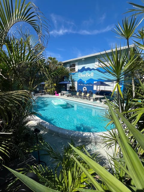 Day, Natural landscape, Pool view, Swimming pool, sunbed