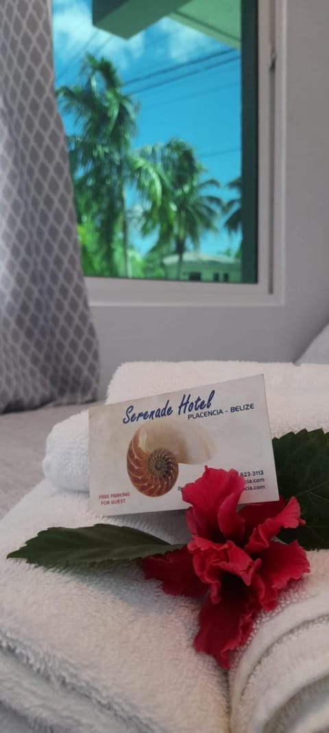 Serenade Hotel Hotel in Placencia