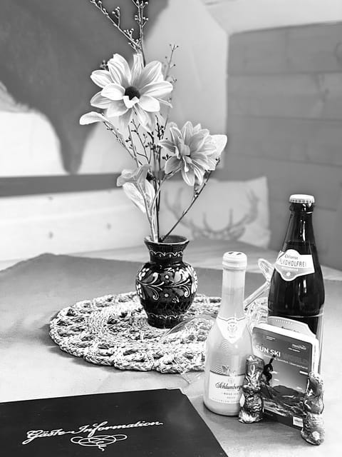 Sonnleitn 29 Apartment in Friuli-Venezia Giulia