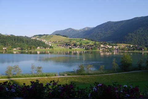 Frühstückspension Seefried Bed and Breakfast in Salzburgerland