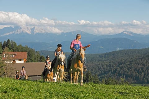 Oberfahrerhof Farm Stay in Trentino-South Tyrol