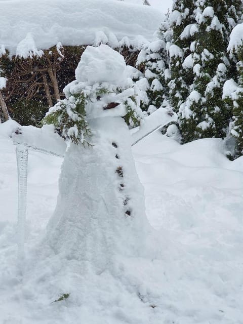 O DOUBS SEJOURS Apartment in Métabief