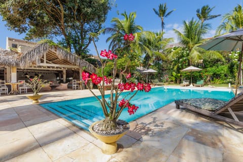 Garden, Garden view, Pool view, Swimming pool, sunbed