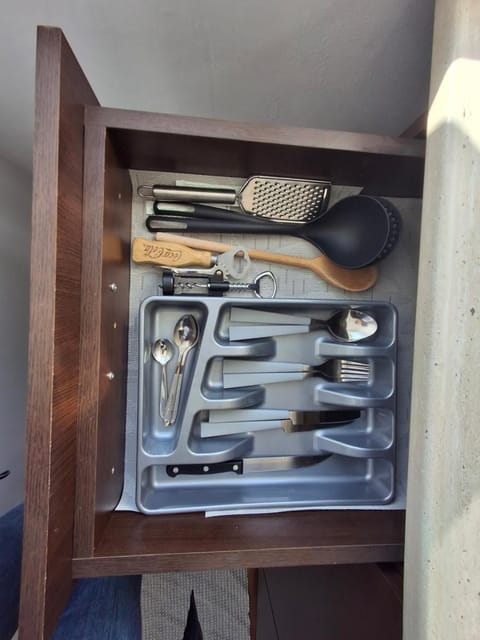 Studio Elvetia Apartment in Serbia