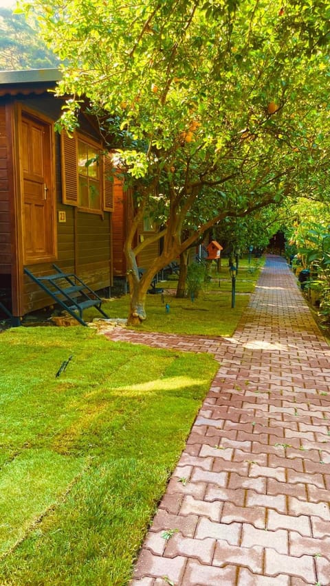 Property building, Garden, Garden view