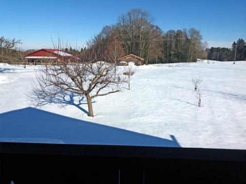 Ferienwohnung Schäffer Apartment in Aschau im Chiemgau