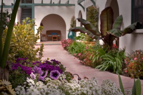 Facade/entrance, Day, Garden