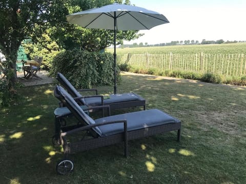 Natural landscape, Garden view