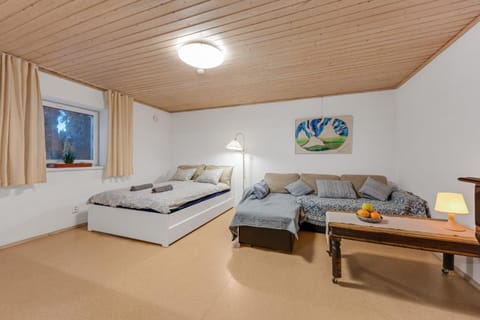 Bed, Living room, Bedroom