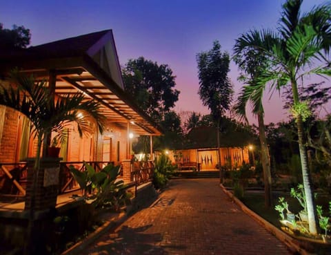 Garden, Sunrise