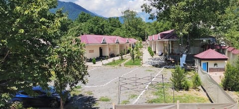 Property building, Spring, Day, Neighbourhood, Natural landscape, Garden, Garden view, Mountain view, Street view, Parking