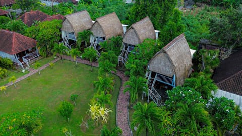 Property building, Spring, Day, Natural landscape, Bird's eye view, Garden, Garden view