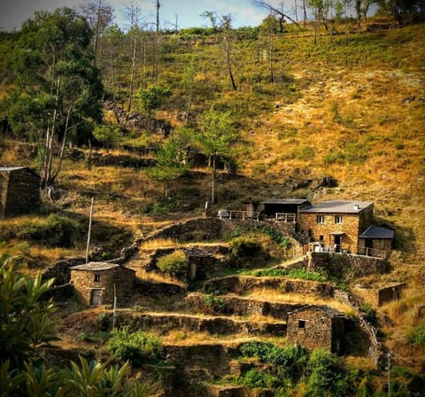 Natural landscape