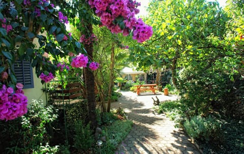 Patio, Garden, Garden view