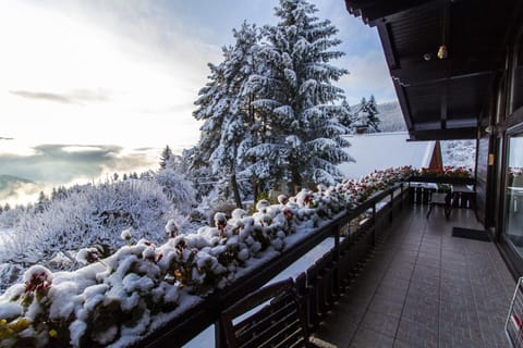 Winter, Balcony/Terrace, Balcony/Terrace, On site