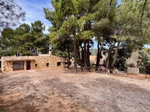 Property building, Spring, Day, Natural landscape