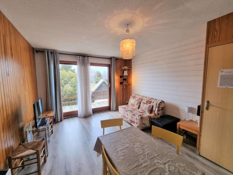 Studio 4 pers, terrasse sud-ouest, centre station, animaux admis - Saint-Michel-de-Chaillol - FR-1-393-131 Apartment in Provence-Alpes-Côte d'Azur