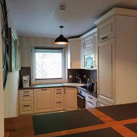 Kitchen or kitchenette, dishwasher, oven, stove