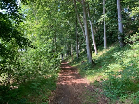 Restaurant/places to eat, Natural landscape