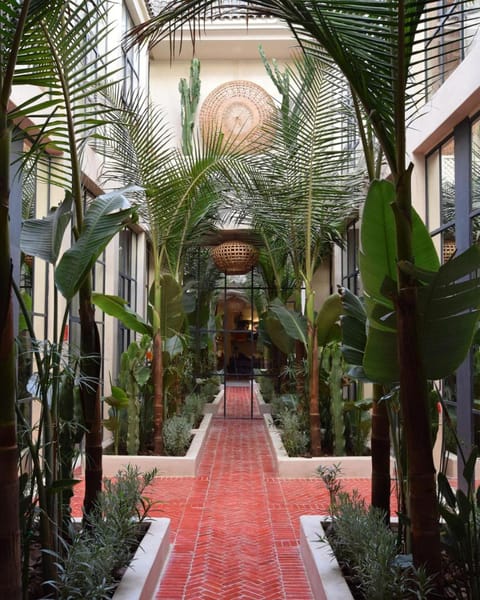Patio, Garden