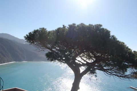 Appartamento giumin Bed and Breakfast in Corniglia