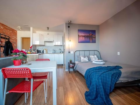 Bed, Kitchen or kitchenette, Living room, Dining area, Bedroom