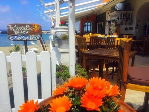 Hotel La Sirenella Hotel in Lacco Ameno