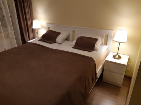 Sauliaus apartamentai VIP Apartment in Lithuania