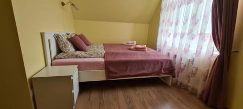 Sauliaus apartamentai VIP Apartment in Lithuania